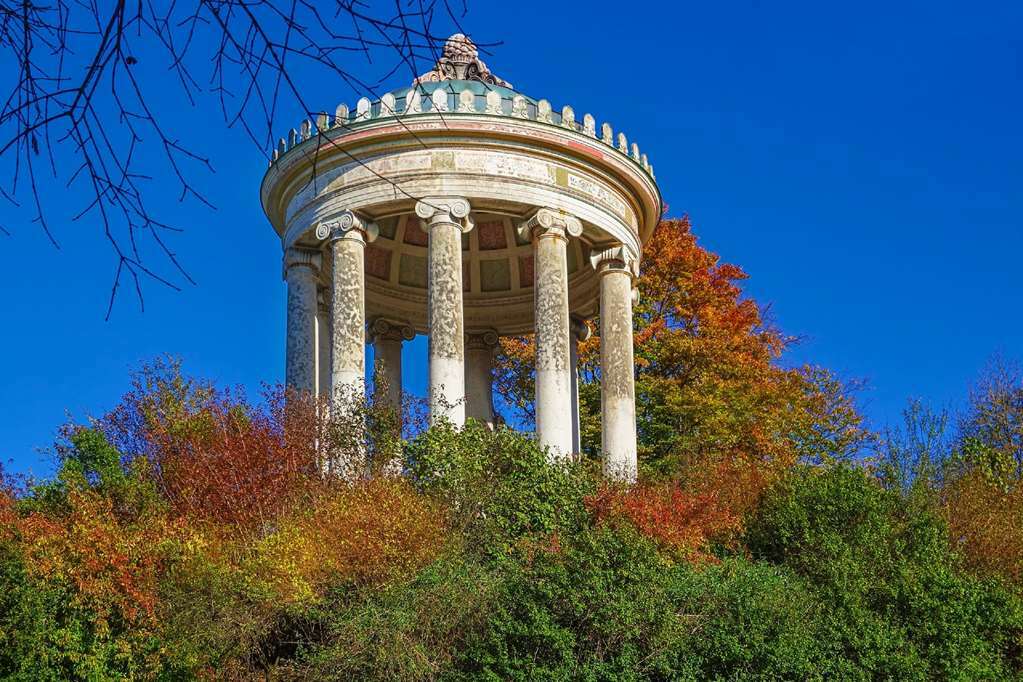Bayer's Múnich